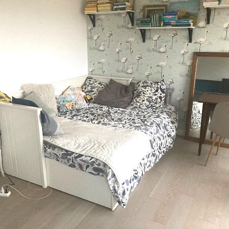 Appartement Lumineux 2 Chambres Ciboure Eksteriør billede